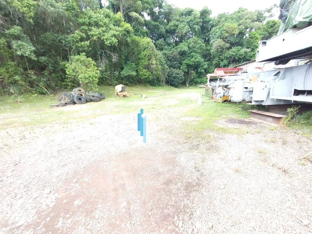 Terreno, 5 hectares - Foto 7