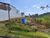 Terreno, 250 m² - Foto 1