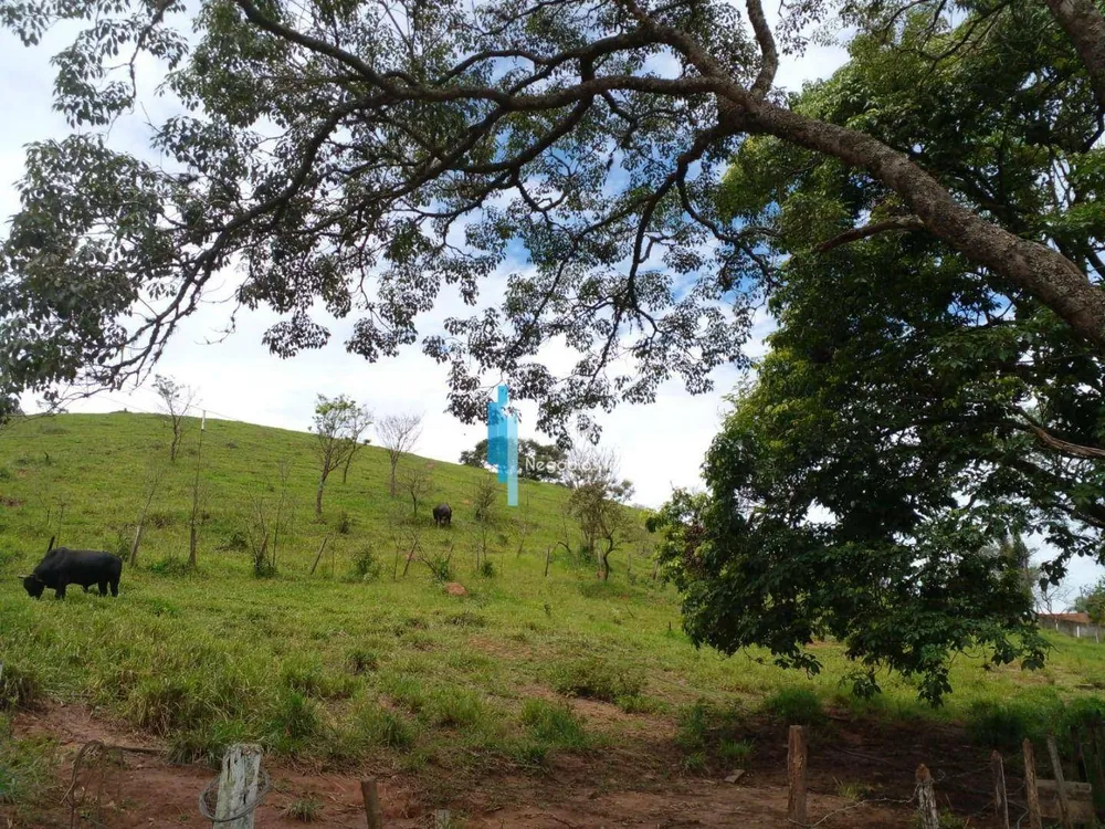 Terreno, 18 hectares - Foto 6
