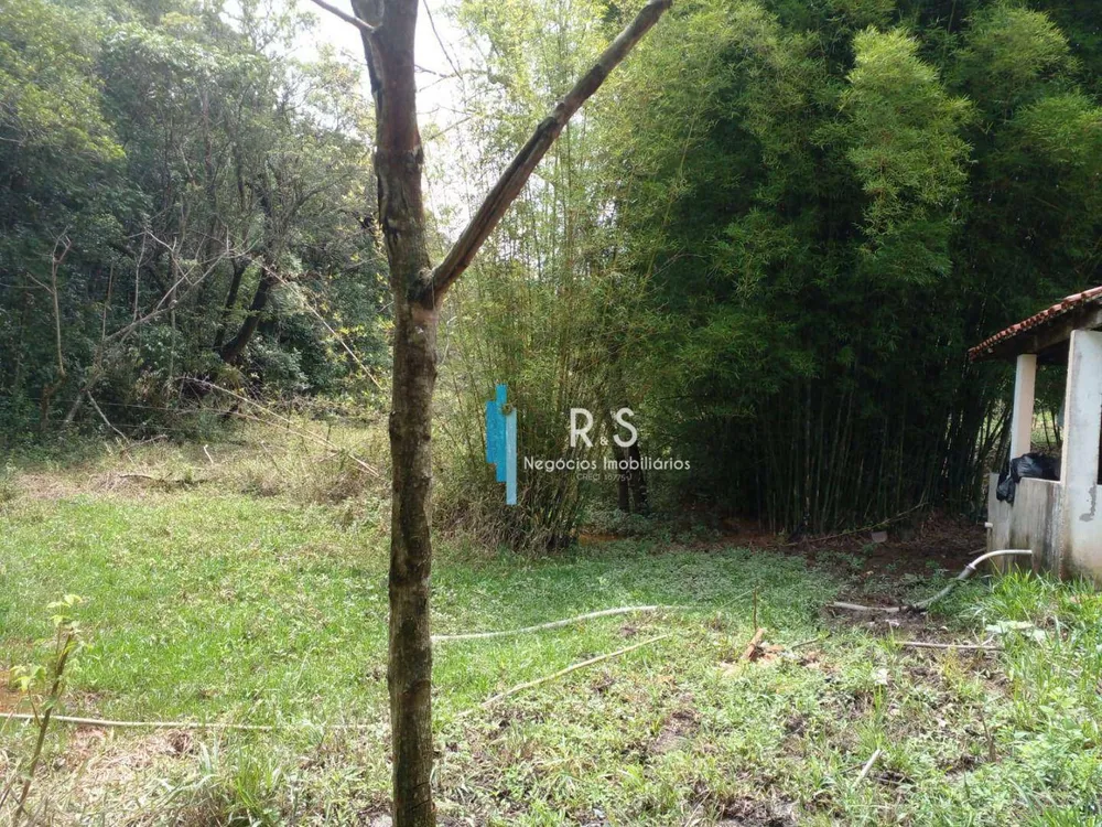 Terreno, 18 hectares - Foto 4