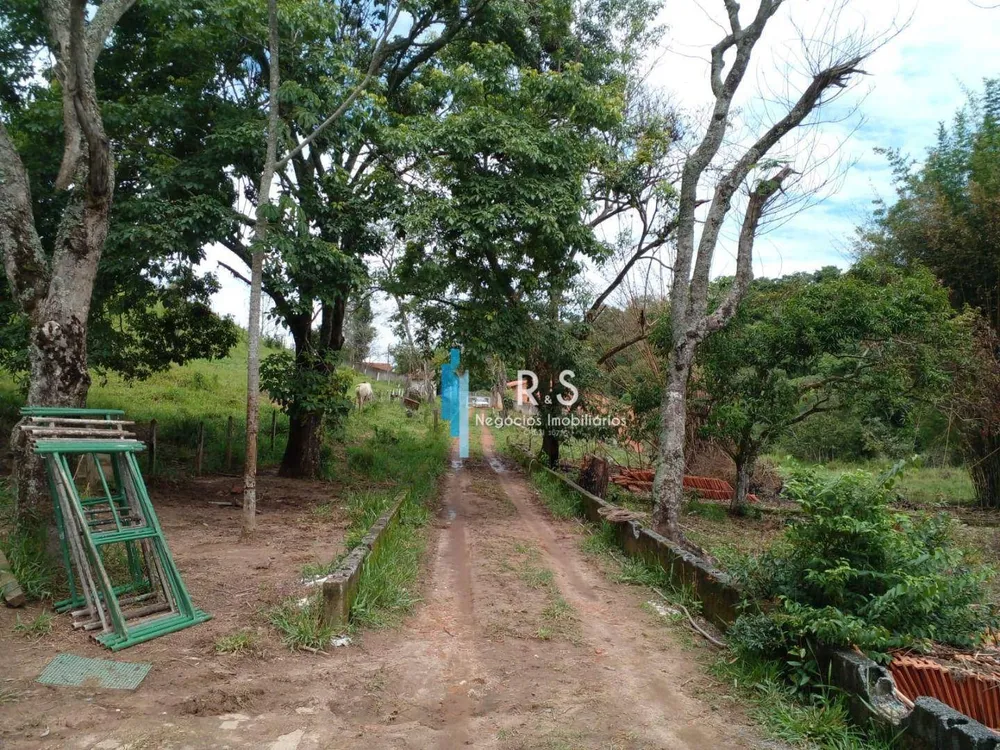 Terreno, 18 hectares - Foto 9