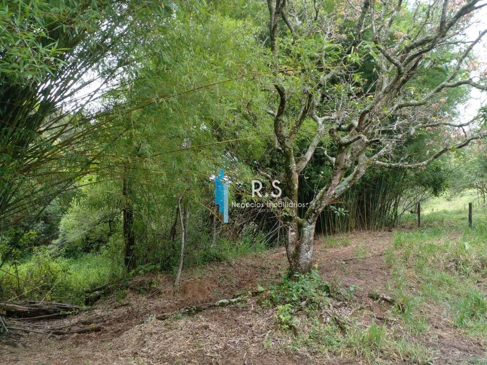 Terreno, 18 hectares - Foto 11