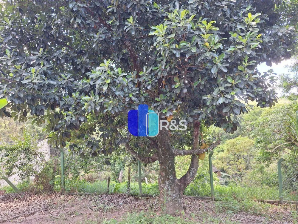 Chácara, 3 quartos, 1260 m² - Foto 5