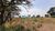 Terreno, 2 hectares - Foto 1