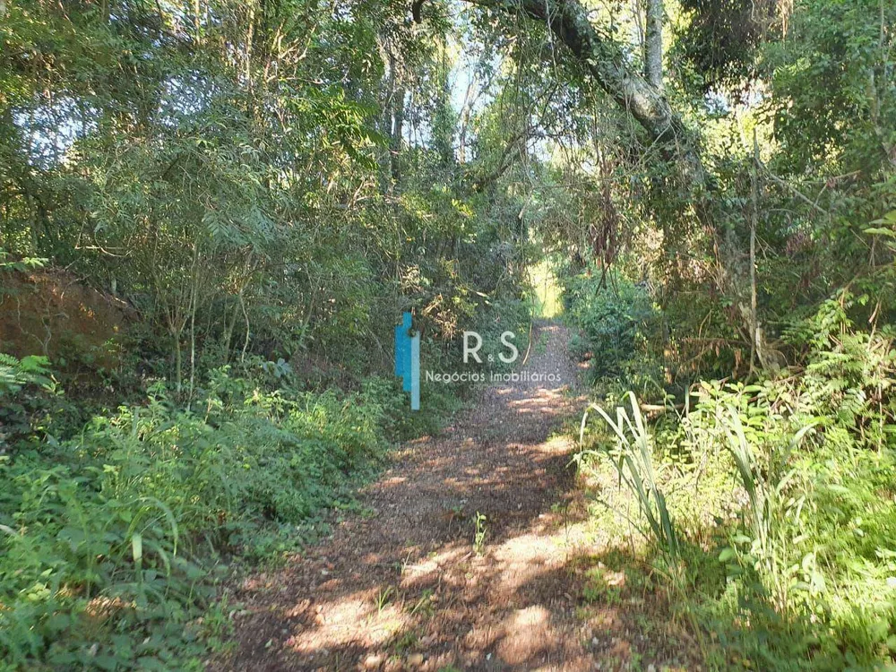 Terreno, 10 hectares - Foto 3
