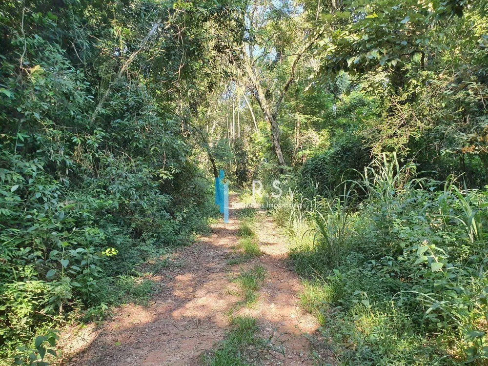 Terreno, 10 hectares - Foto 6