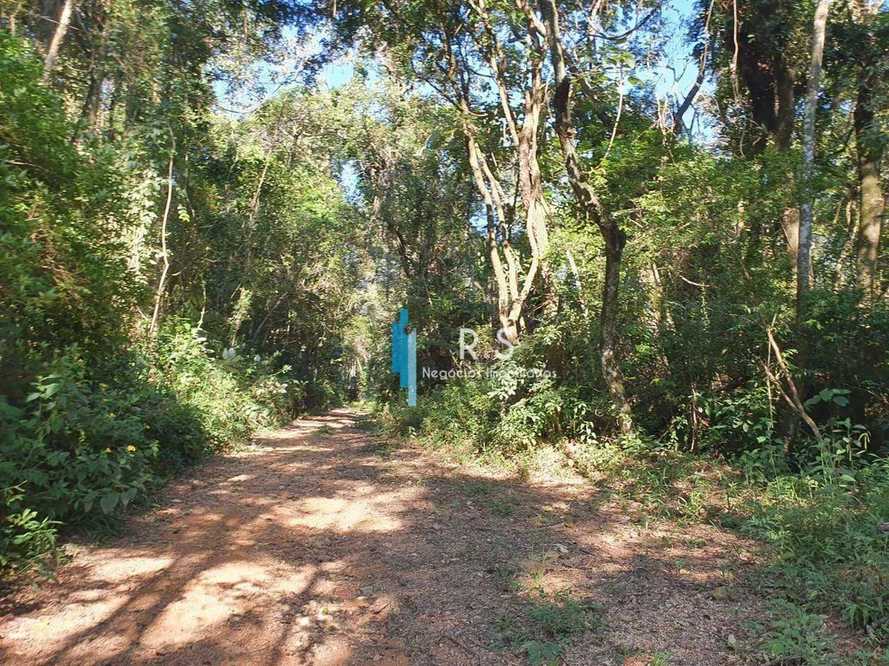 Terreno, 10 hectares - Foto 7