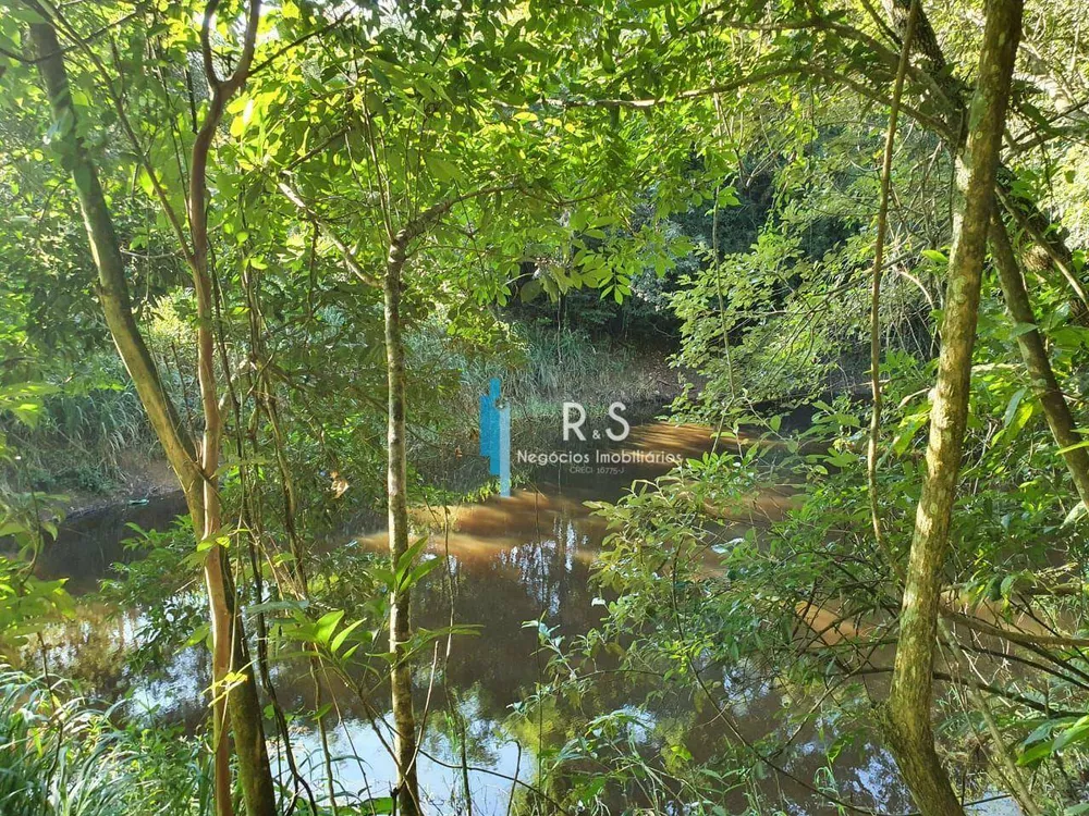 Terreno, 10 hectares - Foto 4