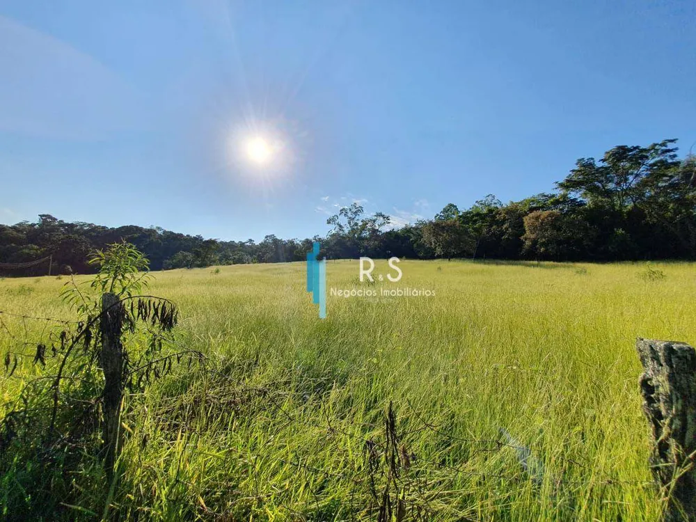 Terreno, 10 hectares - Foto 8
