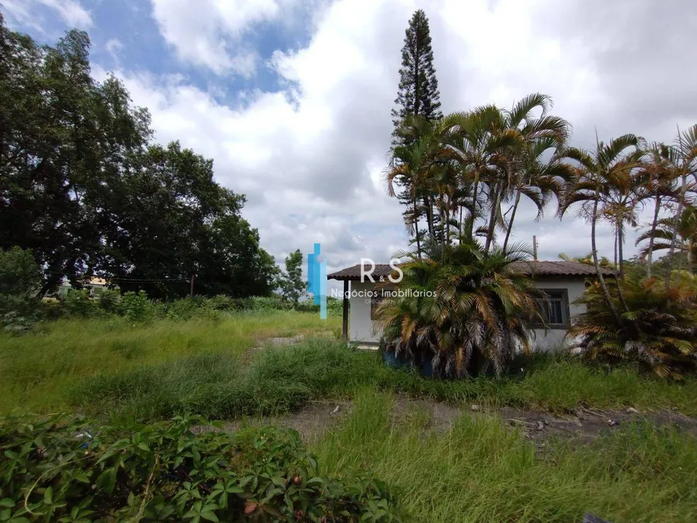 Terreno, 3 hectares - Foto 1
