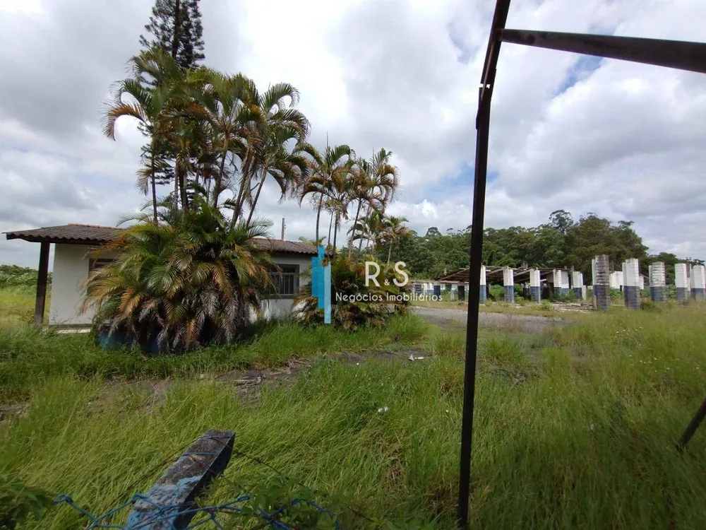 Terreno, 3 hectares - Foto 2
