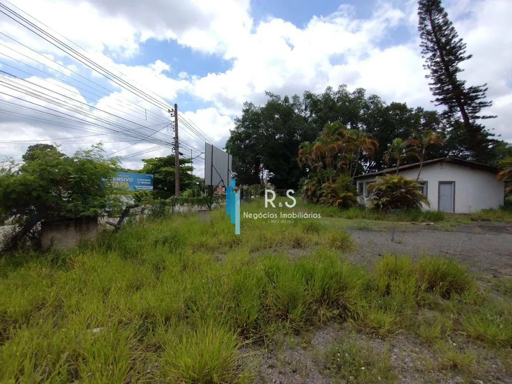 Terreno, 3 hectares - Foto 3