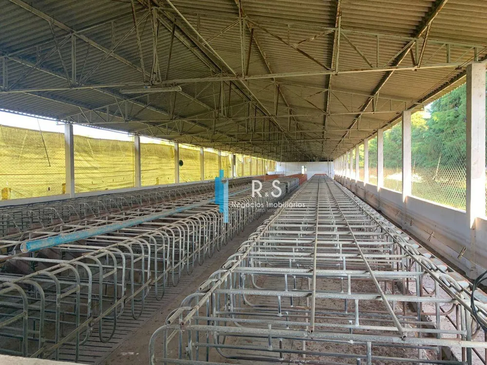 Fazenda, 40 hectares - Foto 8
