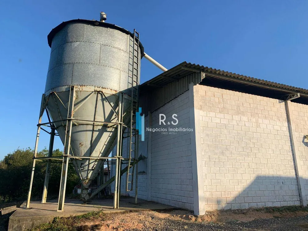 Fazenda, 40 hectares - Foto 7
