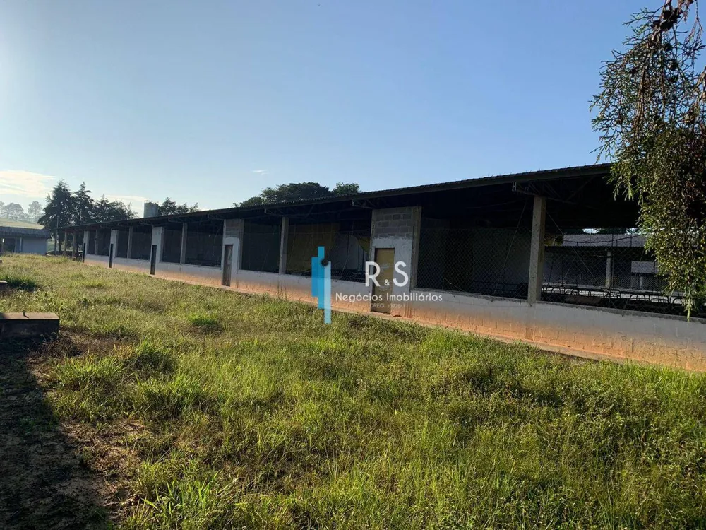 Fazenda, 40 hectares - Foto 10