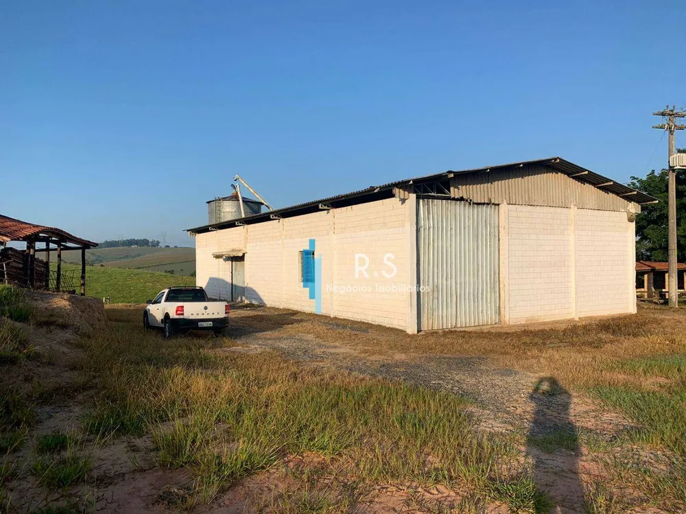 Fazenda, 40 hectares - Foto 6