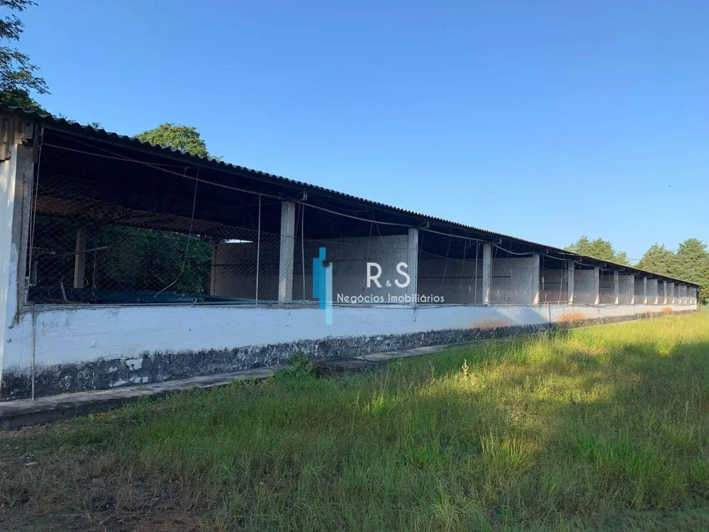 Fazenda, 40 hectares - Foto 9