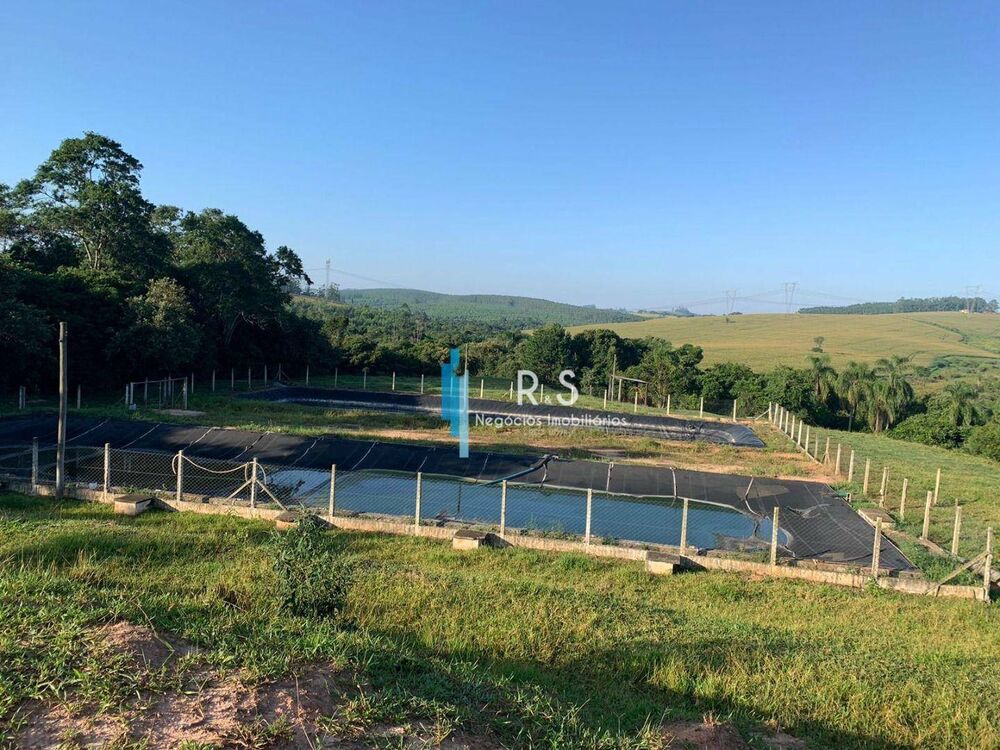 Fazenda, 40 hectares - Foto 2