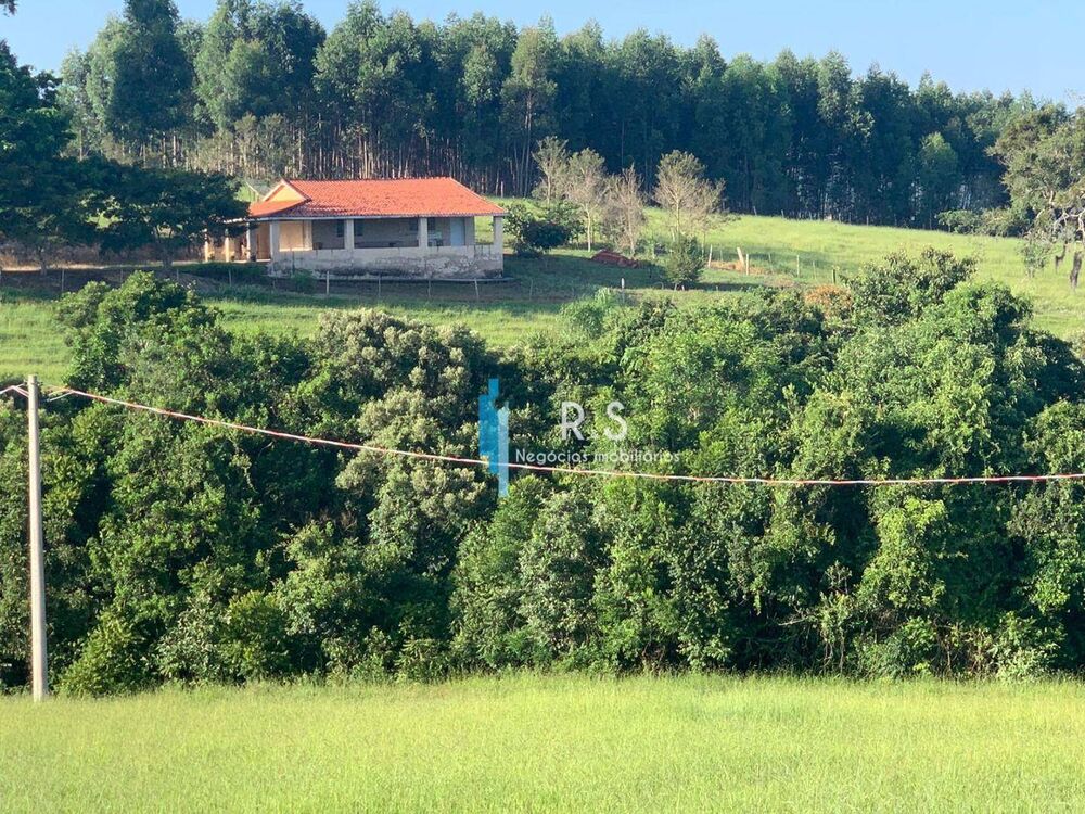 Fazenda, 40 hectares - Foto 3