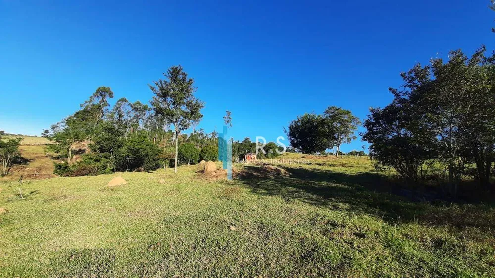 Terreno, 4 hectares - Foto 10