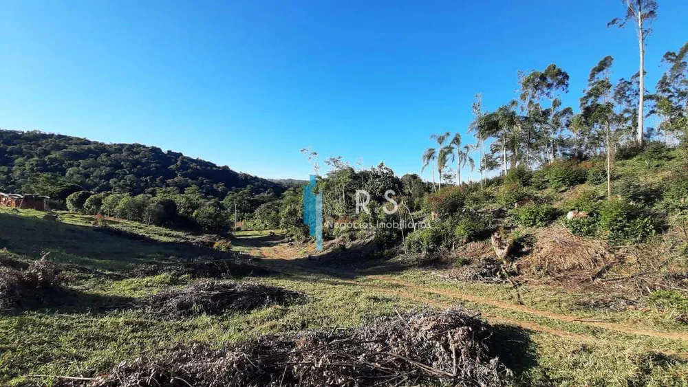 Terreno, 4 hectares - Foto 9
