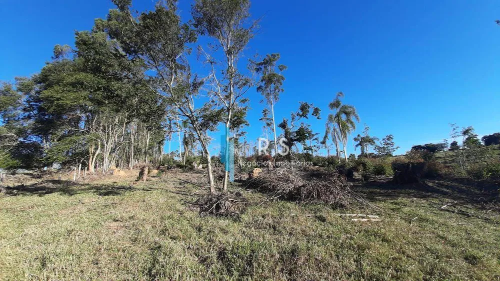 Terreno, 4 hectares - Foto 8
