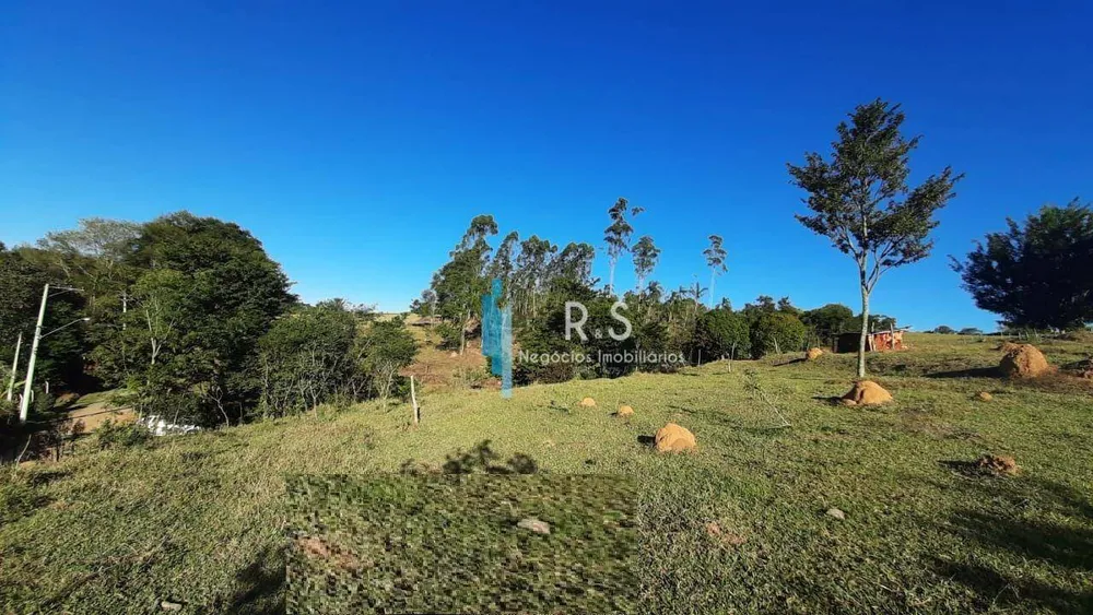 Terreno, 4 hectares - Foto 6