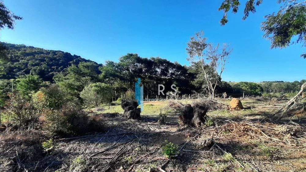 Terreno, 4 hectares - Foto 11