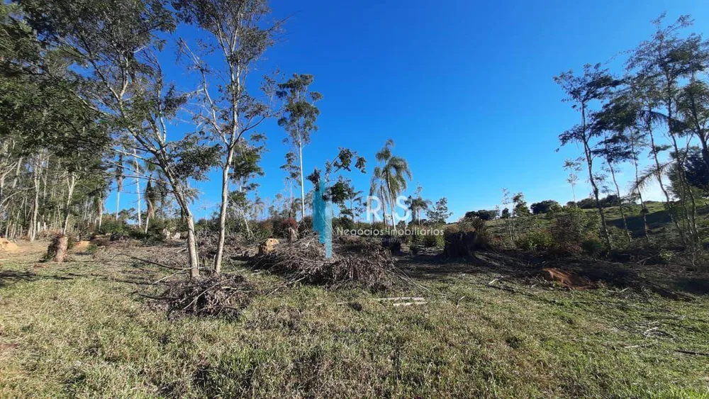 Terreno, 4 hectares - Foto 12