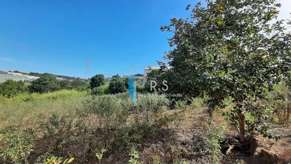 Terreno, 3702 m² - Foto 7