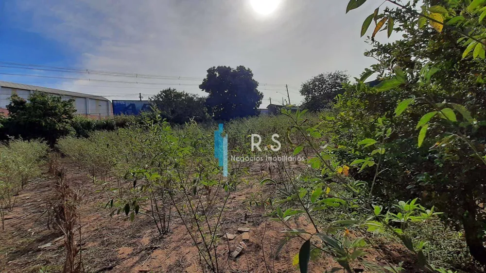 Terreno, 3702 m² - Foto 4