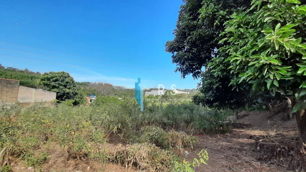 Terreno, 3702 m² - Foto 10