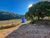 Terreno, 6 hectares - Foto 3
