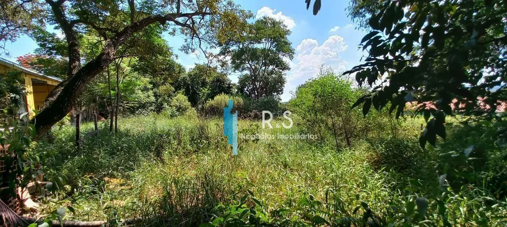 Terreno, 2751 m² - Foto 6