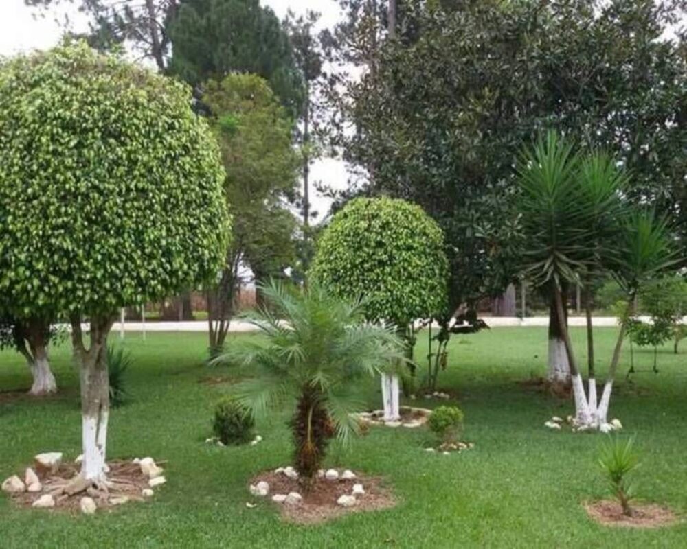 Chácara à venda, 14000M2 - Foto 14