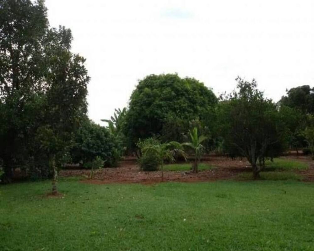 Chácara à venda, 14000M2 - Foto 18