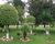Chácara, 1 hectares - Foto 7