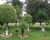 Chácara, 1 hectares - Foto 14