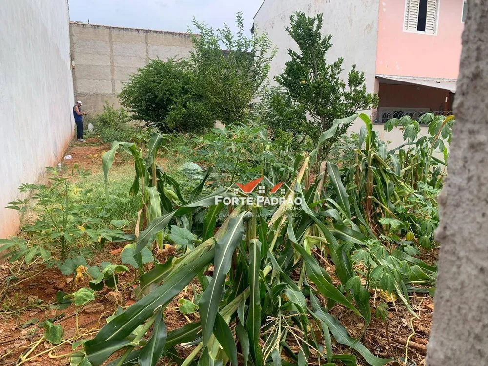 Terreno, 200 m² - Foto 2