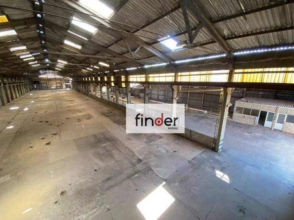 Terreno, 15 hectares - Foto 7