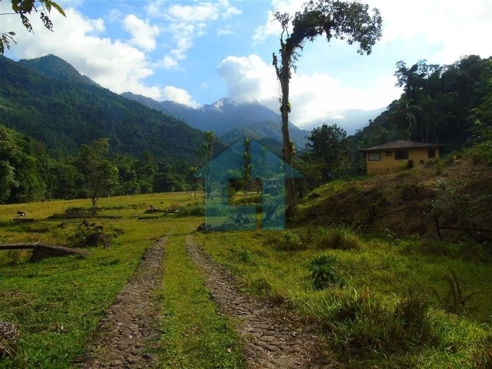 Fazenda, 65 hectares - Foto 26