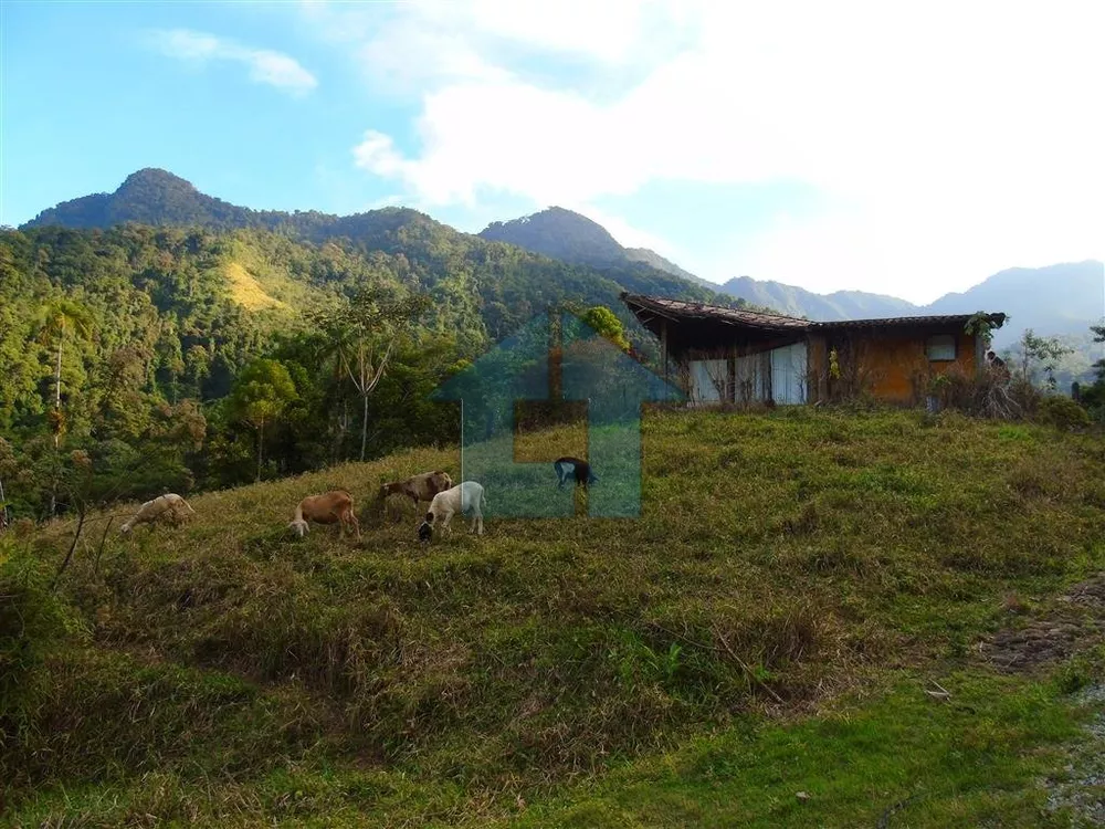 Fazenda, 65 hectares - Foto 20