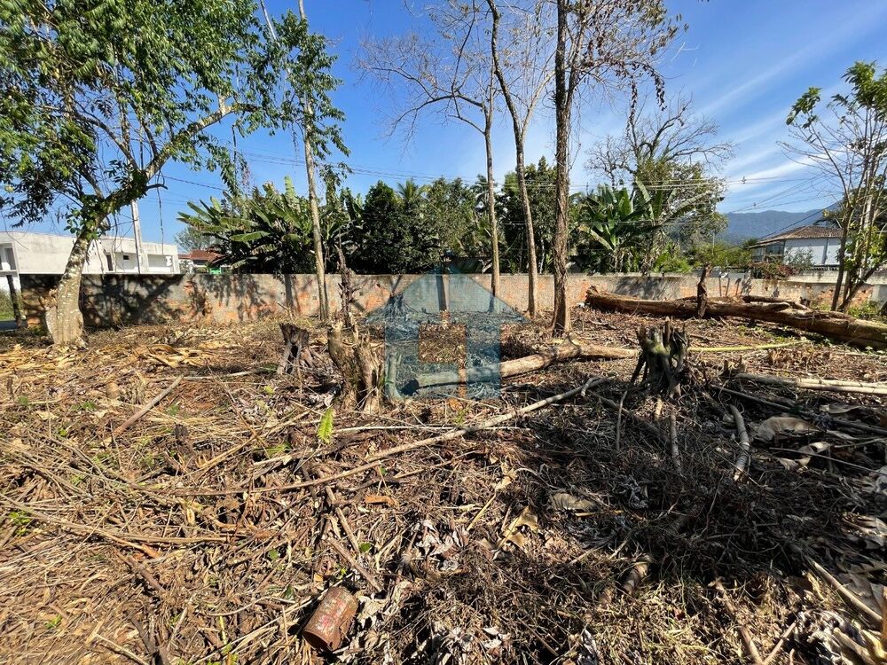 Terreno à venda, 498 - Foto 4