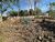 Terreno, 498 m² - Foto 3