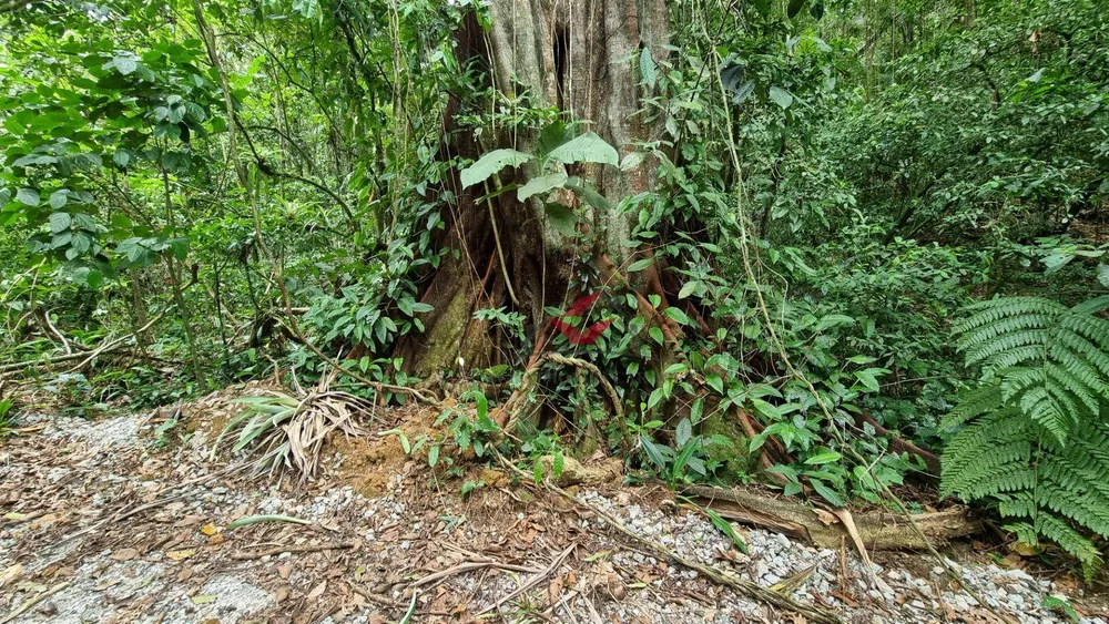 Loteamento e Condomínio, 384 m² - Foto 5