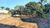Terreno, 979 m² - Foto 1