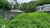 Terreno, 275 m² - Foto 4