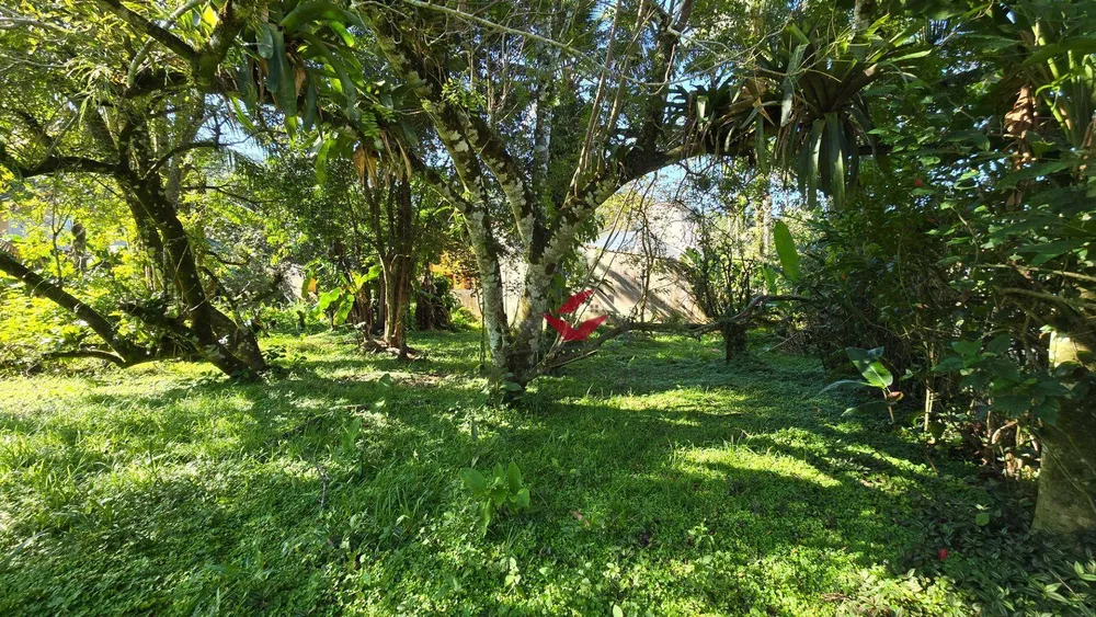 Loteamento e Condomínio, 600 m² - Foto 7