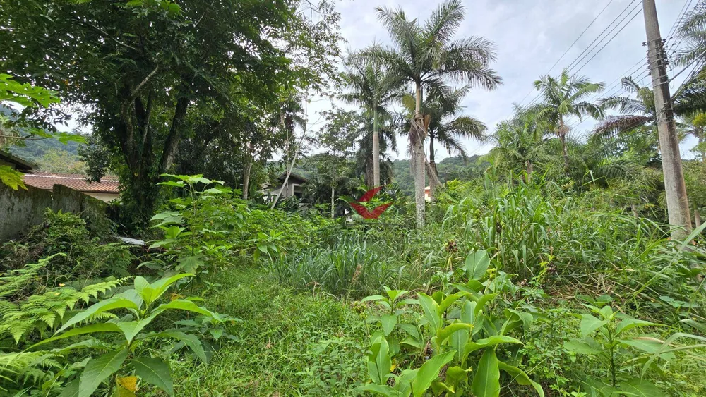Loteamento e Condomínio, 403 m² - Foto 4
