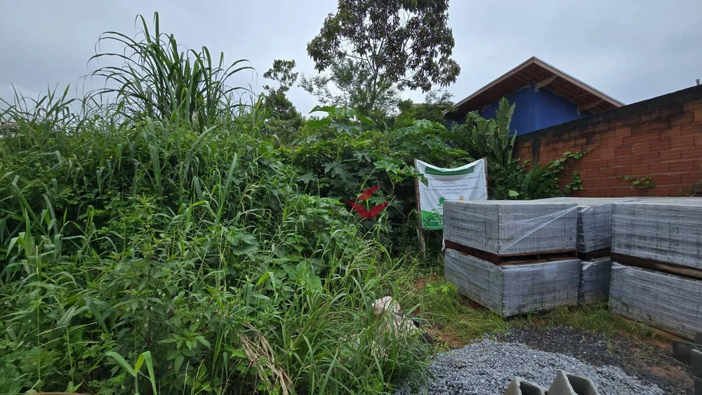Terreno, 300 m² - Foto 2